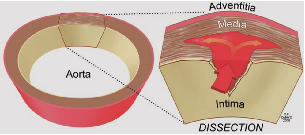 1628503148777230.png 1628503148777230.png