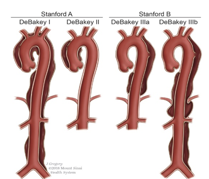 1628503280738382.png 1628503280738382.png