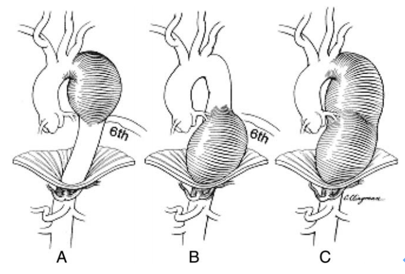 1628503636864815.png 1628503636864815.png