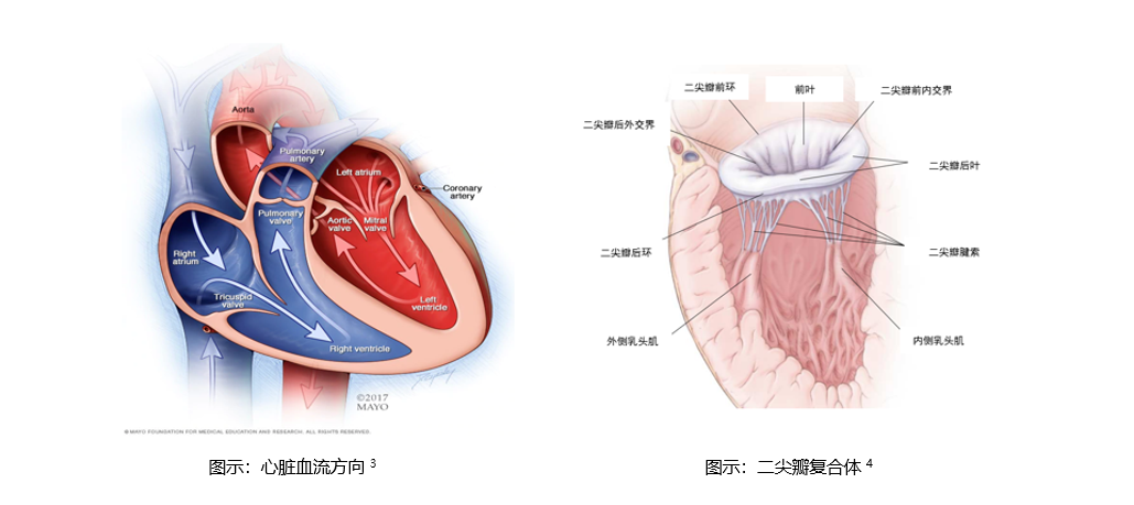 1629708177897307.png 1629708177897307.png